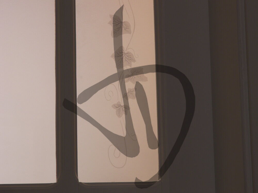 Maßgefertigte Produkte - Maßgefertigte Glastüren - Dekorgläser für Türen - Vetri decorati per porte